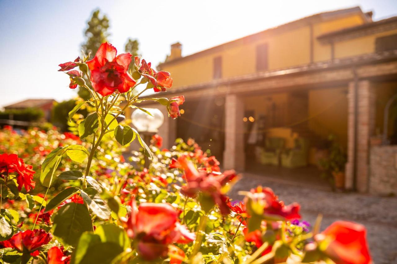 Il Podere Del Germano Reale Coriano Exterior foto