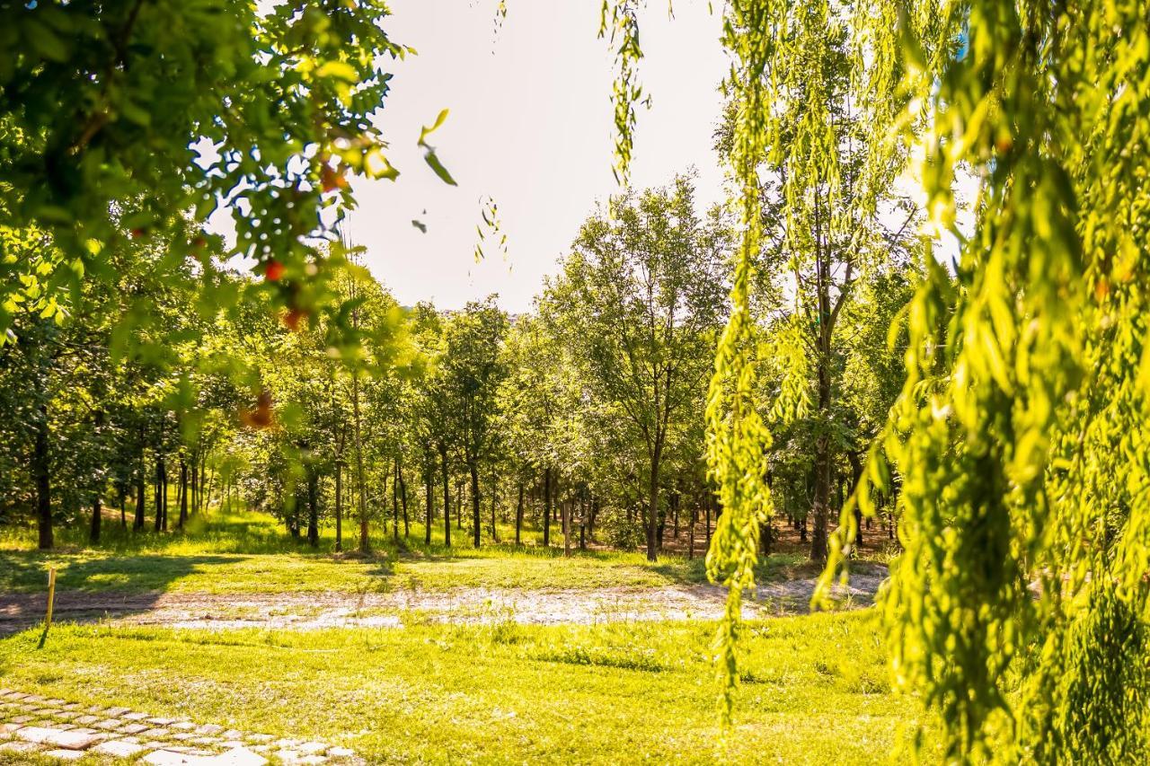 Il Podere Del Germano Reale Coriano Exterior foto